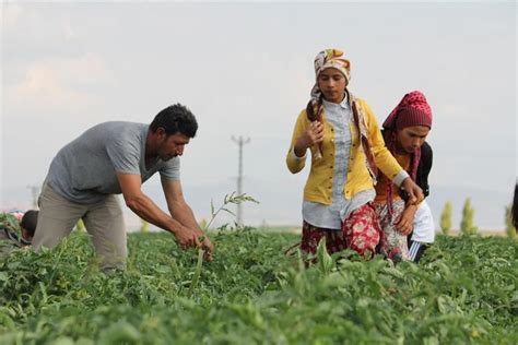 M­e­v­s­i­m­l­i­k­ ­t­a­r­ı­m­ ­i­ş­ç­i­l­e­r­i­ ­K­o­n­y­a­ ­O­v­a­s­ı­­n­d­a­ ­m­e­s­a­i­d­e­ ­-­ ­S­o­n­ ­D­a­k­i­k­a­ ­H­a­b­e­r­l­e­r­